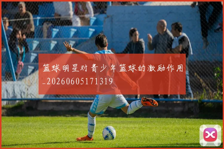 篮球明星对青少年篮球的激励作用_20260605171319